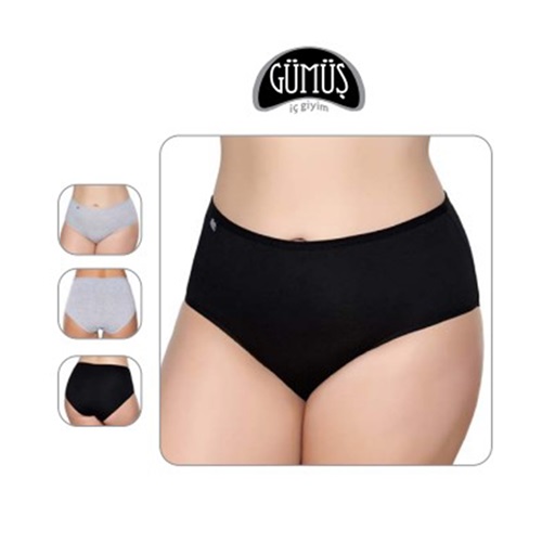 Gümüş 3043 Bayan Renkli Likralı Bato Külot