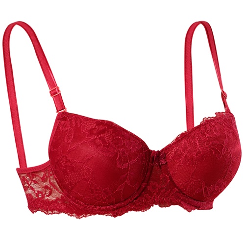 Ebru 1104 Silikonlu Dantelli Boş Dolgusuz Bayan Sütyen 75-95 - Bordo