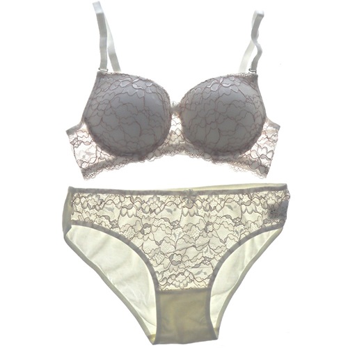 Ebru 8054 Slikonlu Dolu Dantelli Bayan Sütyen Takım 75-90 - Ekru