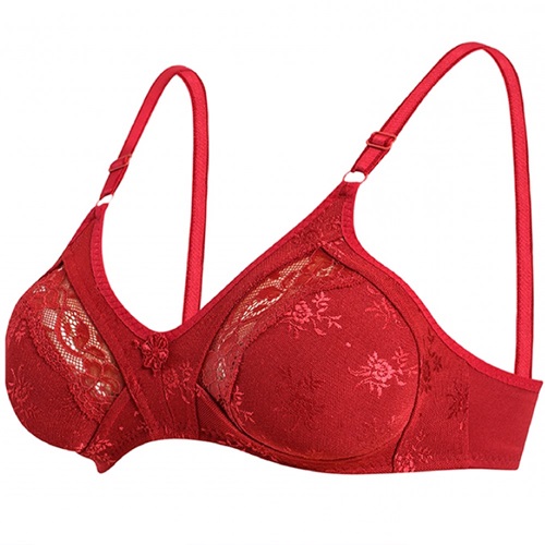 Ebru Bayan Toparlayıcı Lez Ara Dantel 1004-1004B Sütyen 75-110 - Bordo