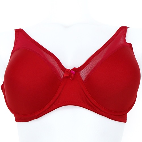 Billiza 2020 Bayan C Cup Boş Telli Kenar Transparan Sütyen 85-105 - Mor