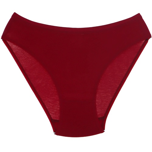 Dondeza 102 Bayan M Beden Düz Bikini - Bordo - STANDART