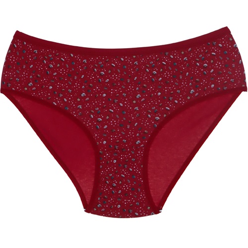 Dondeza 201 Bayan Desenli L Beden Külot - Bordo - STANDART