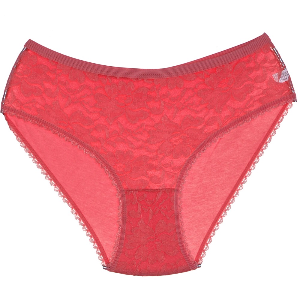 Dondeza 204 Bayan Dantelli L Beden Külot - Somon - STANDART