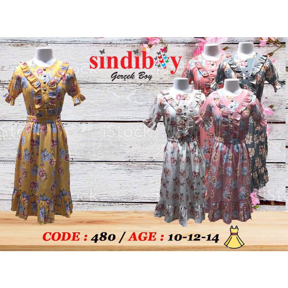 Sindiboy 480 Karpuz Kol Desenli Fırfırlı Elbise 10-14 Yaş
