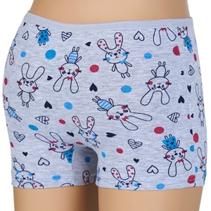 Dondeza 403 Desenli Kız Çocuk Boxer - karışık renk - 3-4 YAŞ