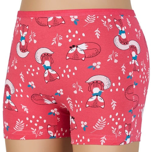 Dondeza 403 Desenli Kız Çocuk Boxer