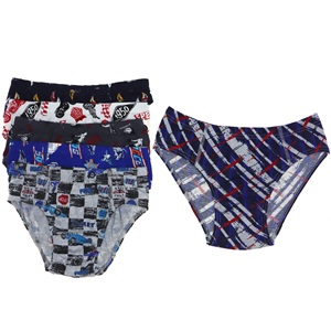 Dondeza 504 Desenli Erkek Çocuk Slip - karışık renk - 3-4 YAŞ