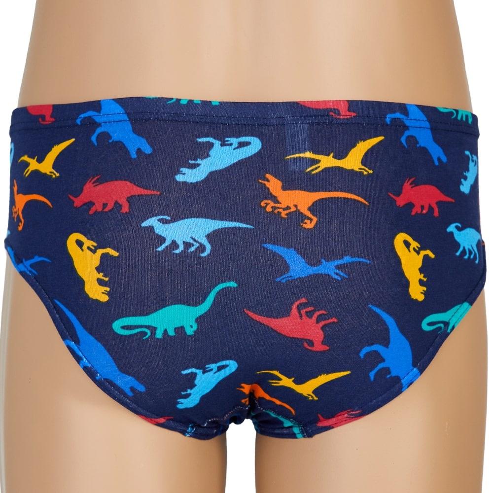 Dondeza 504 Desenli Erkek Çocuk Slip - karışık renk - 3-4 YAŞ