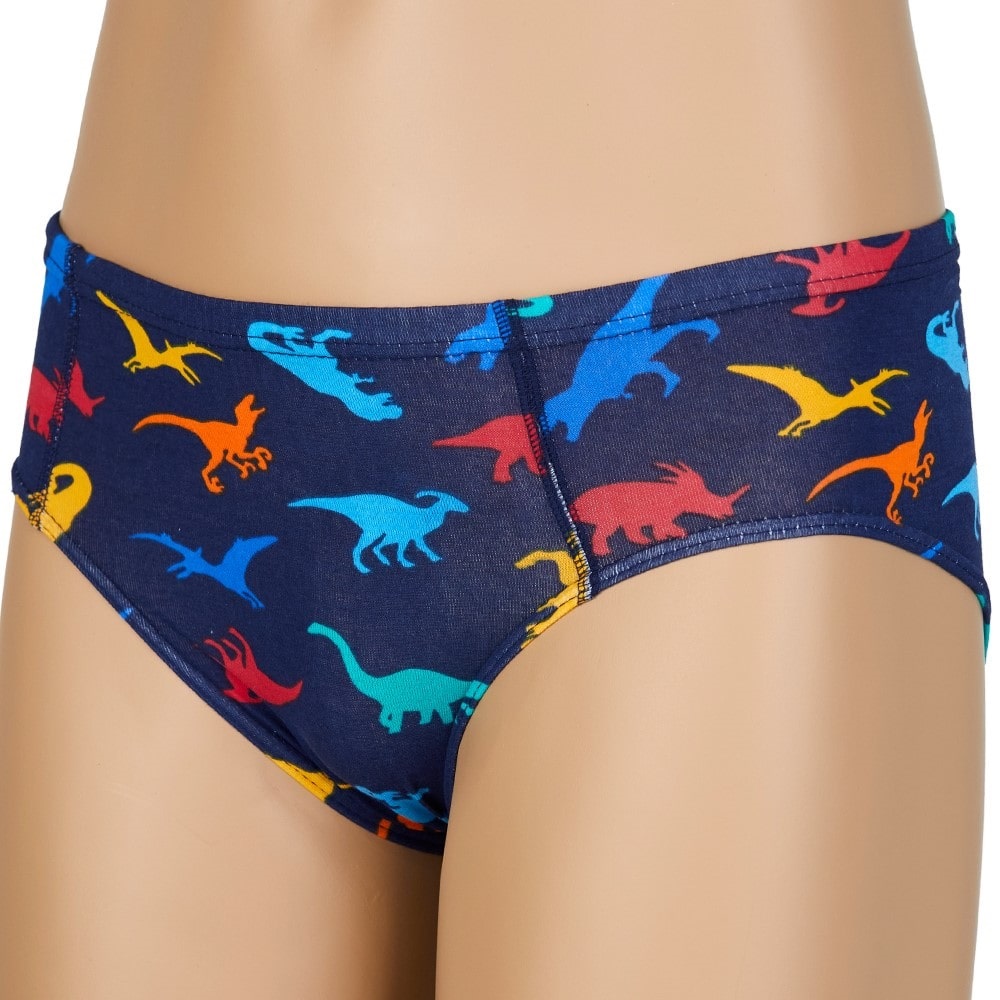 Dondeza 504 Desenli Erkek Çocuk Slip - karışık renk - 5-6 YAŞ