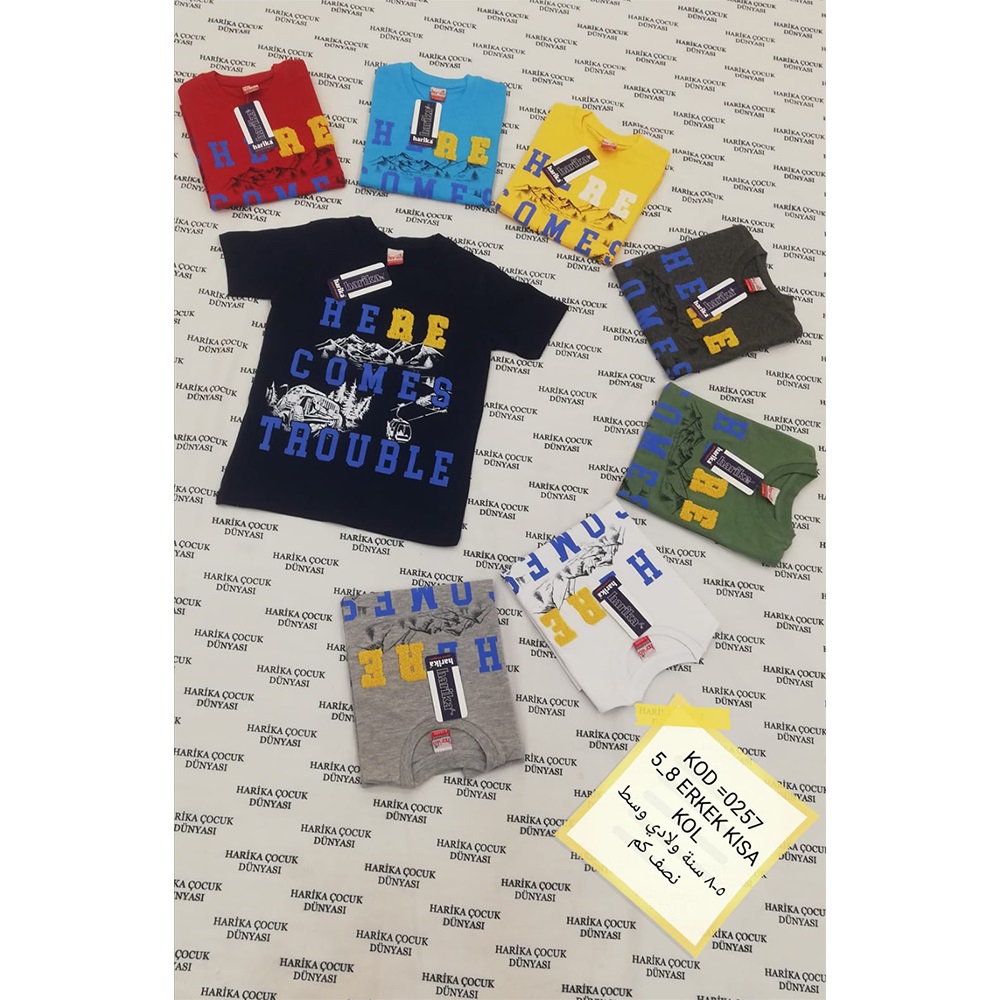 Harika Çocuk 0257 Erkek Çocuk Baskılı Kısa Kol Tişört 5-8 Yaş