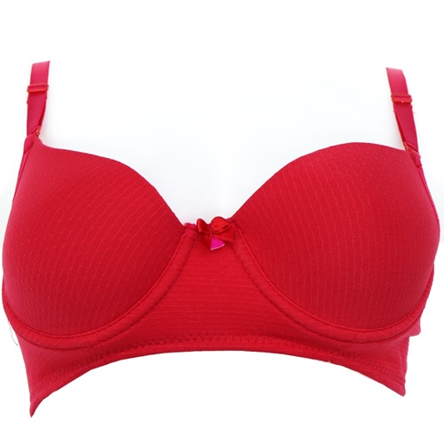 Billiza 2090 Bayan C Cup Desteksiz Jakarlı Sütyen 85-110 - Kırmızı