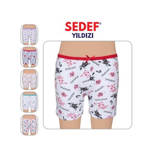 Sedef 1088 Kız Çocuk Lyc Empirme Boxer Külot - Karışık Renk - 5