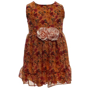 Leydi Lina 347 Kız Çocuk Şifon Güllü Elbise 1-3 Yaş