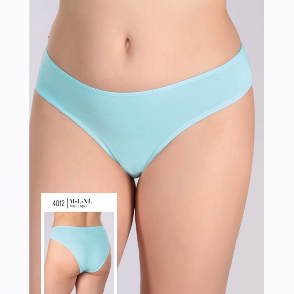 Aymelisa 4050 Bayan Penye Saten Bikini Külot M-L-XL