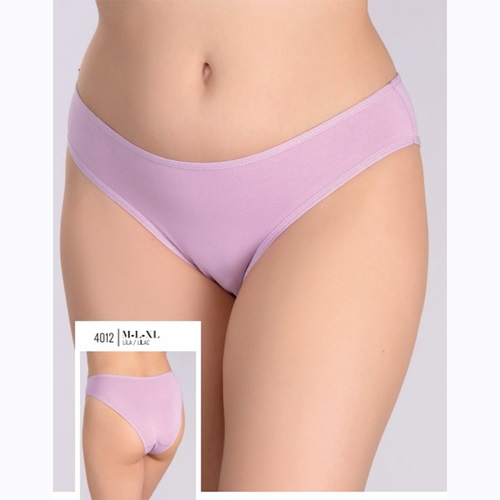 Aymelisa 4051 Bayan Penye Saten Bikini Külot M-L-XL