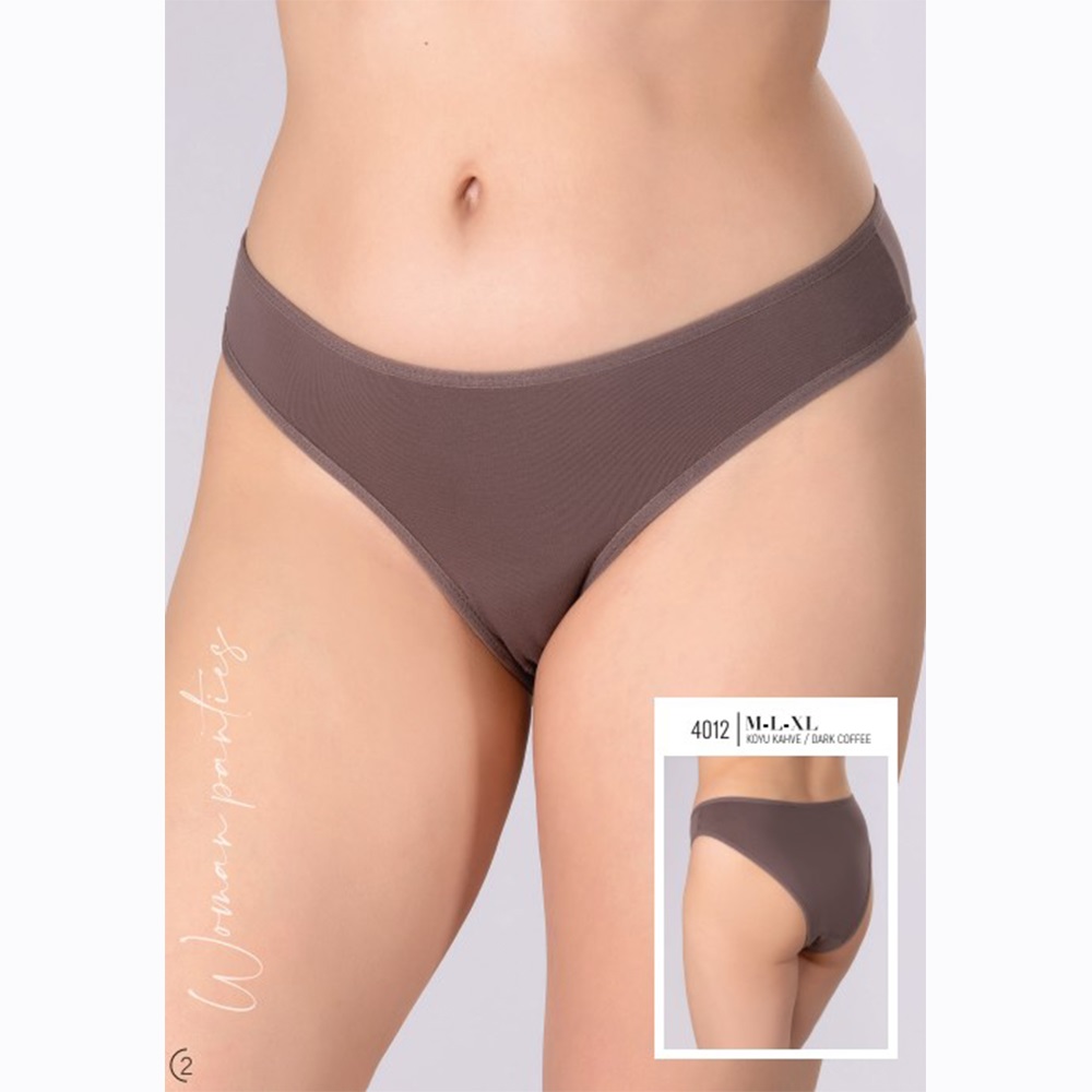 Aymelisa 4051 Bayan Penye Saten Bikini Külot M-L-XL