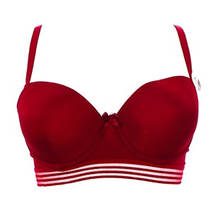 Aysemin ER 5137 Dolgusuz Alt Transparan Şeritli Sütyen 80-95 - Siyah - 80-85-90-95