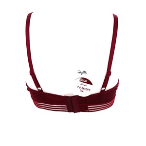 Aysemin ER 5137 Dolgusuz Alt Transparan Şeritli Sütyen 80-95 - Siyah - 80-85-90-95