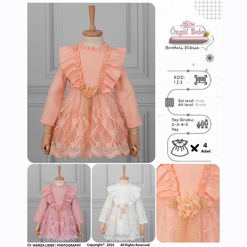 Özgül 123 Kız Çocuk Brodeli Tül Nakışlı Elbise 2-5 Yaş