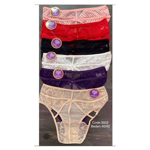 Manolya Secret 3002 Bayan Dantelli Külot L