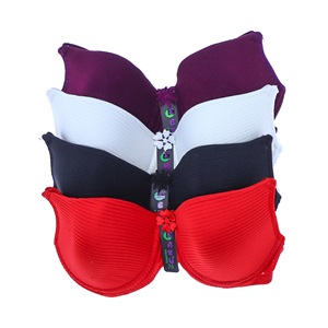 Ebru 1163 Bayan Silikonlu Destekli Mikro Yollu Sütyen 75-95 - Ekru - 75-80-85-90-95