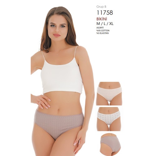 Berrak 11758 Bayan Penye Bikini Külot M-XL - Karışık Renk - L