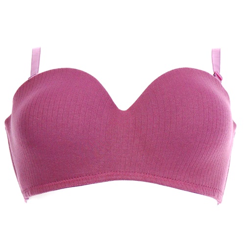 Billiza 2440 Bayan Penye Lotus Mikro Sütyen 80-95 - Vizon - 80-85-90-95