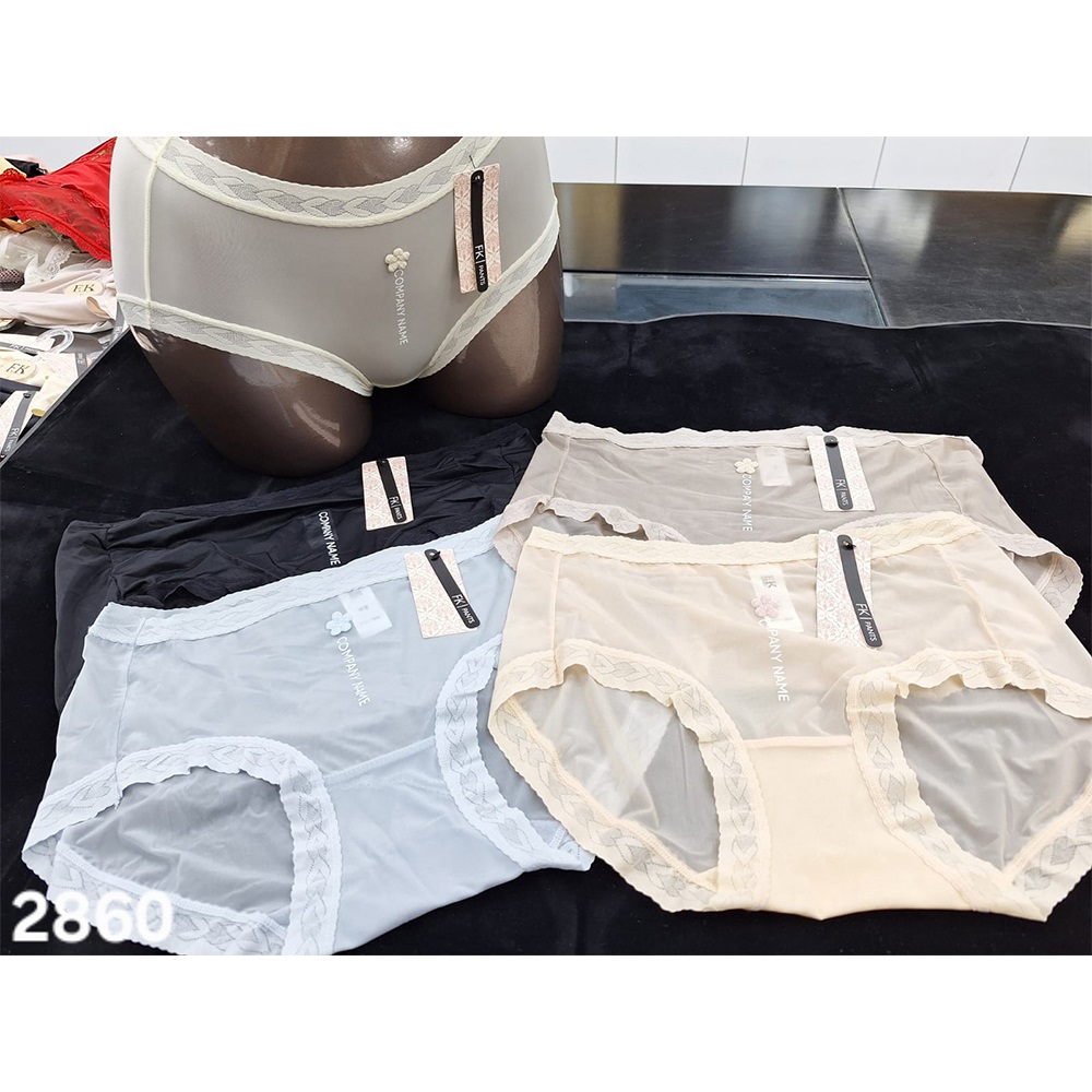 F-K 2860 Bayan Denteli Yüksek Bel Külot S-XL