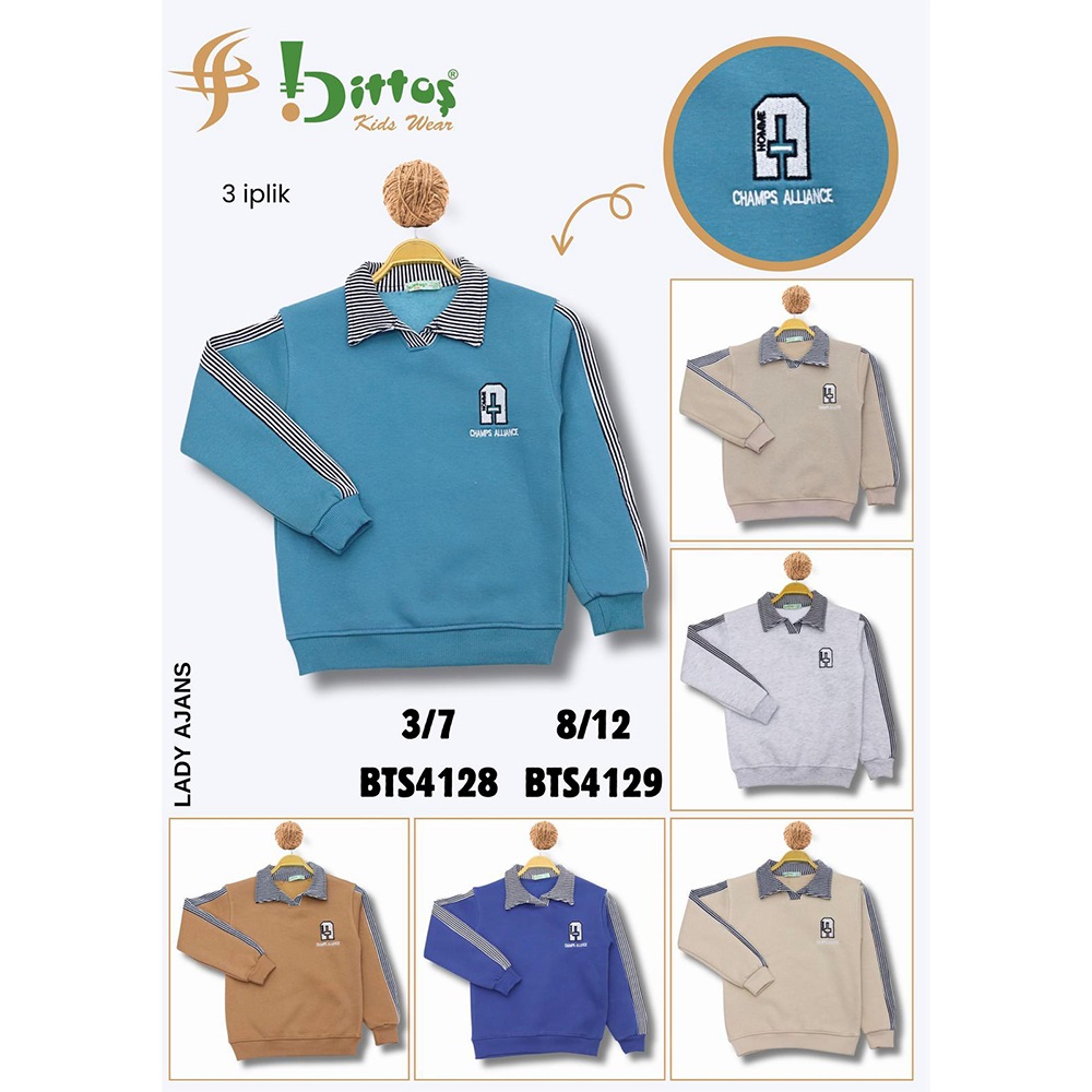 BTS04128 Erkek Çocuk 3 İp Kolu Parçalı A Nakışlı Yakalı Sweat 3-7 Yaş - Karışık Renk - 3-7 YAŞ