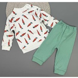 Ceylan Bebe 0009 Bebe Penye Havuç Baskılı Takım 9-18 Ay