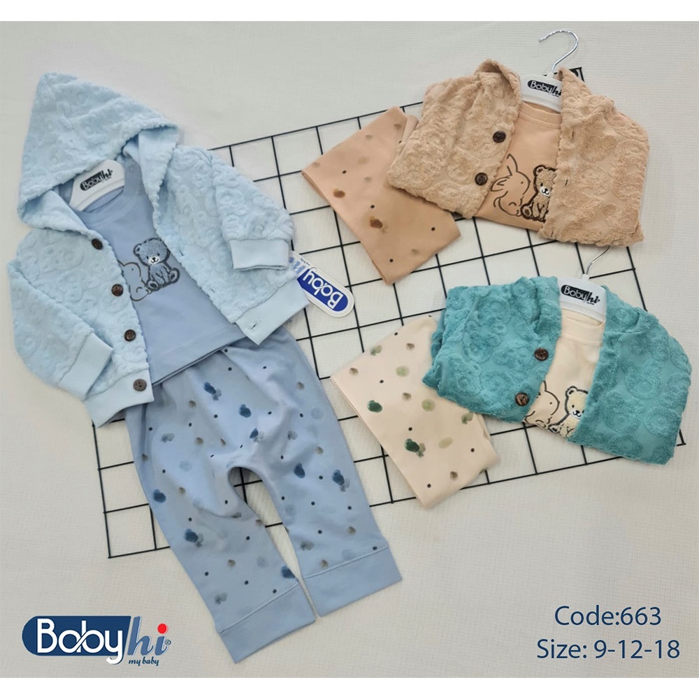 Baby Hi 663 Erkek Bebe 2 İp Sevimli Ayıcık Jakar Desenli Ceketli 3 Lü Takım 9-18 Ay
