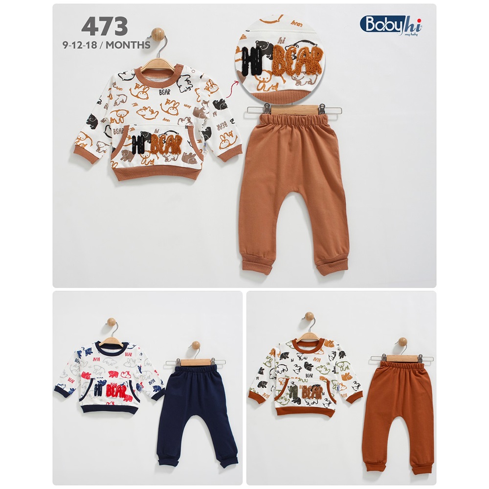 Baby Hi 473 Erkek Bebe 2 İp Hı Bear Nakışlı 2 Li Takım 9-18 Ay