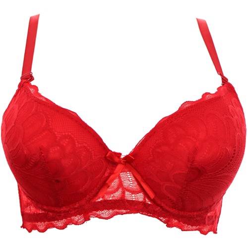 105 Bayan Dantelli Destekli Sütyen