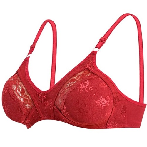 Ebru 1006 Bayan Toparlayıcı Lez Ara Dantel Sütyen - Bordo - 85