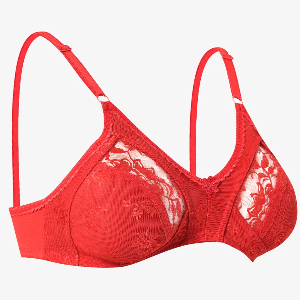 Ebru 1006 Bayan Toparlayıcı Lez Ara Dantel Sütyen - Kırmızı