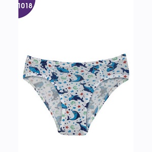 Kota 1018 Erkek Çocuk Baskılı Erkek Slip Külot