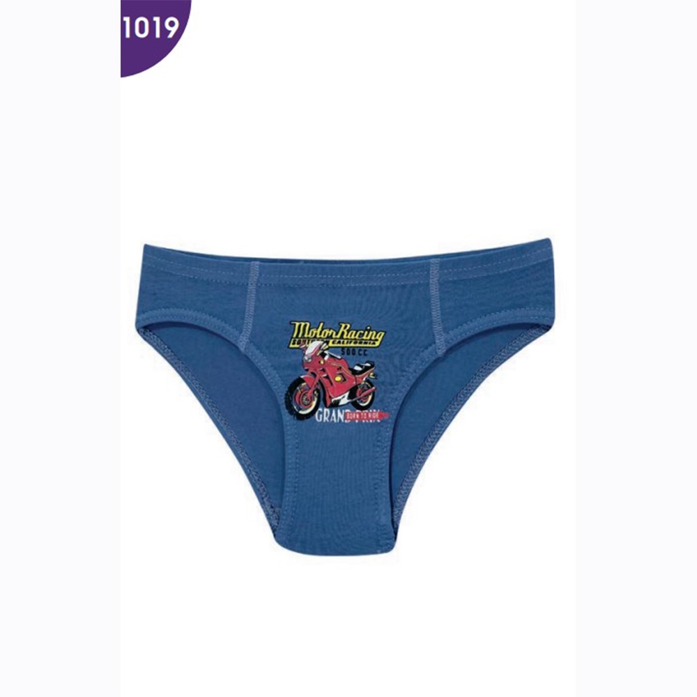 Kota 1019 Erkek Çocuk Parça Baskılı Erkek Slip Külot
