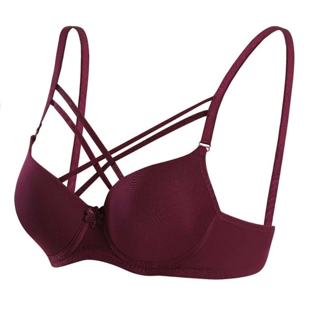 Ebru 1160 Bayan Slikonlu Destekli Mikro Tulumlu Çapraz Sütyen - Mürdüm - 75-80-85-90