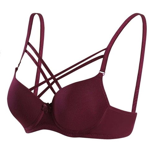 Ebru 1160 Bayan Slikonlu Destekli Mikro Tulumlu Çapraz Sütyen - Mürdüm - 75-80-85-90