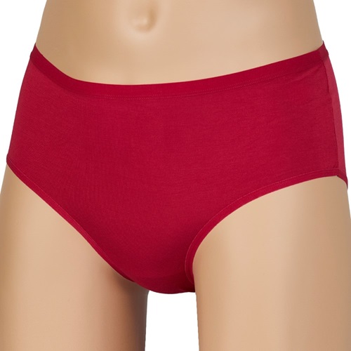 Deza 6032 Bayan Bambu 2XL Bato Külot- Bordo - PAKET İÇİ TEK RENK