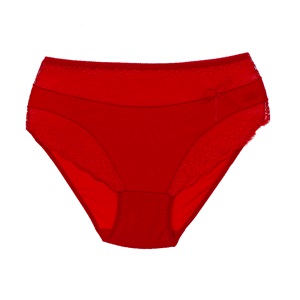 Rinna 269 Bayan Ön Dantel Bato Külot - Gri