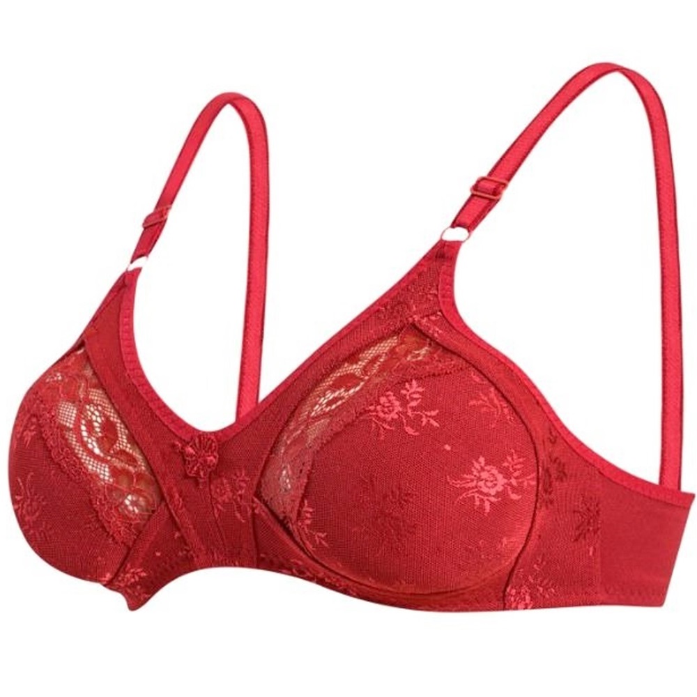 Bayan Toparlayıcı Lez Ara Dantel 1006-1006B Sütyen