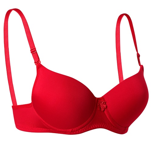 1155 Silikonlu Dolu Destekli Mikro Tulumlu Destekli Sütyen - Kırmızı