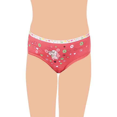 Tutku 0832 Kız Çocuk Elastan Önü Baskılı Külot - karışık renk - 3