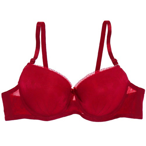 Black Angel Bayan 379 Destekli Dantelli Sütyen (75-90)