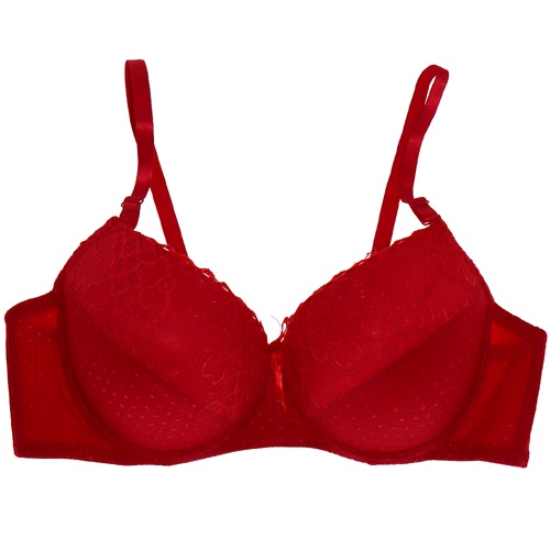 Black Angel Bayan 050 Desteksiz Dantelli Sütyen (95-110)